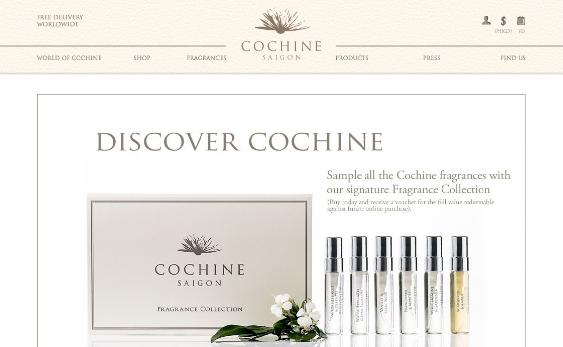 Cochine Website Design